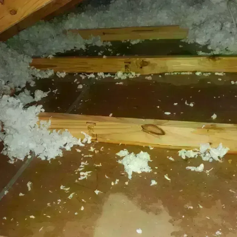 Attic Water Damage in DeKalb County, MO