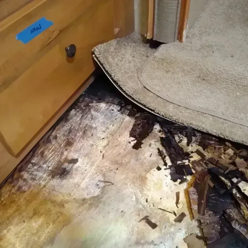 Wood Floor Water Damage in DeKalb County, MO